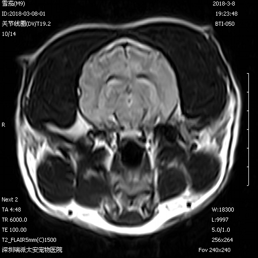 BASDA 1.5T Veterinary MRI Machine / Superconducting Wide Bore Mri Scanner 0