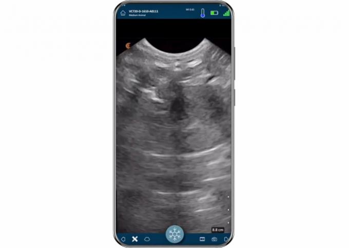 ISO Convex + Linear Wireless Portable Animal Ultrasound Machine 0