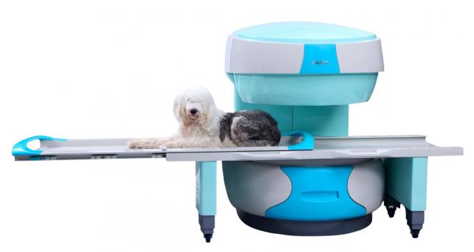 VET OPEN/PERMANENT MAGNETIC RESONANCE IMAGING SYTEM (MRI) , MODEL: BTI-035, MAGNETIC FIELD STRENGHT: 0.35T, 1