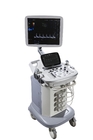 Slim Design Full Body Color Ultrasound Convex Probe Medical Ultrasound Machine BTH-90S
