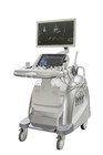 4 Sockets 220Volt 3D Ultrasound Pregnancy Color Ultrasound 4D Ultrasound Doppler Machine BTH-300S