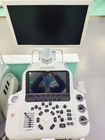 4 Sockets 4D Hospital Ultrasound Machine 3D Ultrasound Pregnancy Color UltrasoundBTH-300S