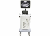 BASDA Mobile Veterinary Color Doppler Ultrasound Machine BTH-90V
