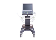 3D 2 Probe Sockets Portable Color Doppler Ultrasound Machine BTH-50S