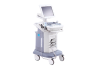 Cartbase Linear Probe 110Volt Color Ultrasound Medical Ultrasound Machine BTH-90S