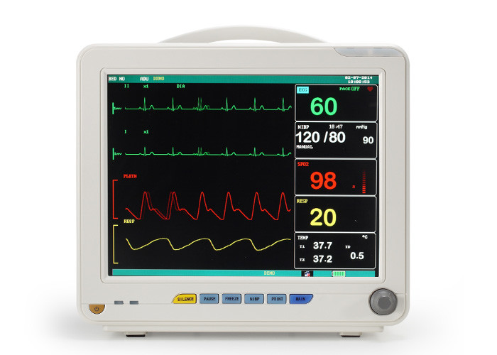 Portable 10 Inch Color Screen Veterinary Ecg Monitor