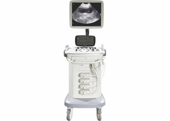 China BASDA Mobile Veterinary Color Doppler Ultrasound Machine BTH-90V factory