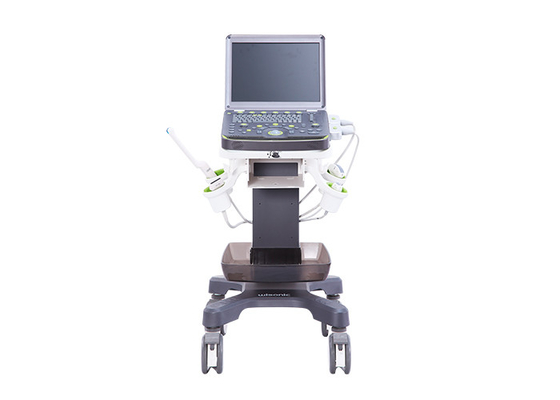 3D 2 Probe Sockets Portable Color Doppler Ultrasound Machine BTH-50S