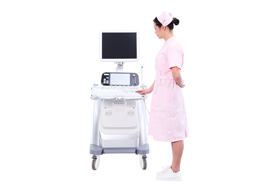 China General Measurement 3D Ultrasound Pregnancy BASDA Medical Ultrasound Machine Color UltrasoundBTH-150S factory