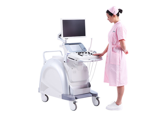China Big Touchscreen Color Ultrasound 3D Ultrasound Pregnancy BASDA Diagnostic Ultrasound Equipment BTH-200S factory
