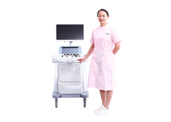 China Cartbase 3D Ultrasound Pregnancy 110 Voltage Medical Ultrasound Machine Color UltrasoundBTH-300S factory
