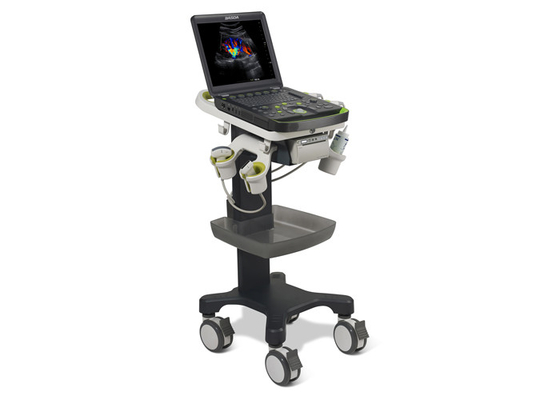 China NMPA Full Body 2 Probe Sockets Portable Ultrasound Device  BTH-50S factory