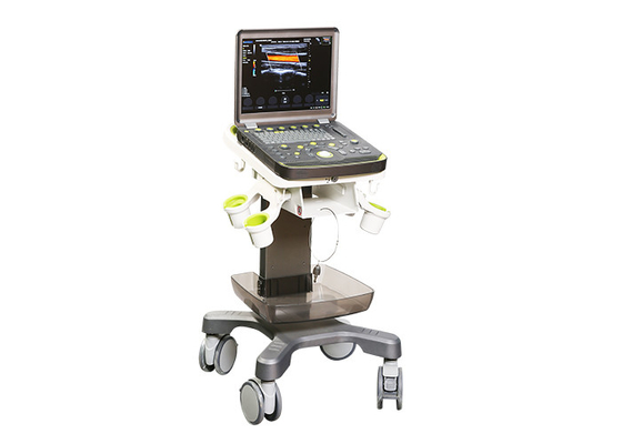 China Re Programmable Portable Ultrasound Scanners 230cd/M2 Convex Probe BTH-50S factory